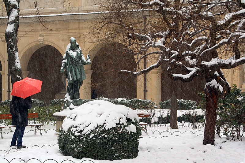 Lyon - Jardin St Pierre Jardinst2