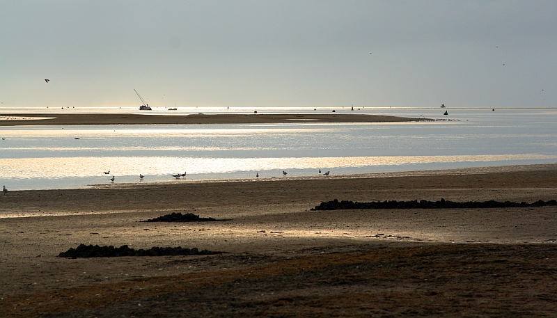 Aout 2009; Baie de Somme Mareemontante