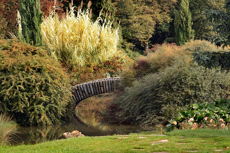 Des photos de notre sortie au Parc de la tête d'or Parc