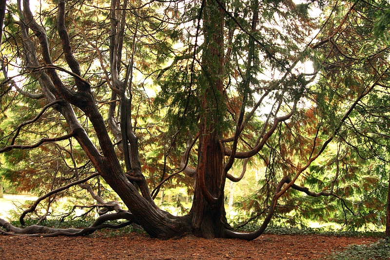 Parc de la Tête d'Or .10/10/0 Sortie