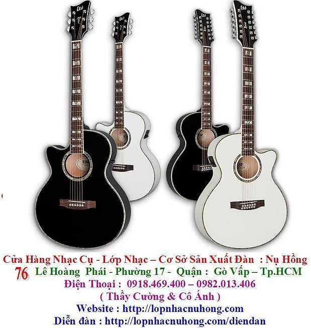 Đàn guitar , thông tin giá cả về đàn guitar - 0918 469 400 971431410_1171453290