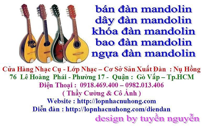 Đàn mandolin chất lượng tốt , nhiều mẫu đẹp giá rẻ - Cửa hàng nhạc cụ Nụ Hồng 974495943_302172877