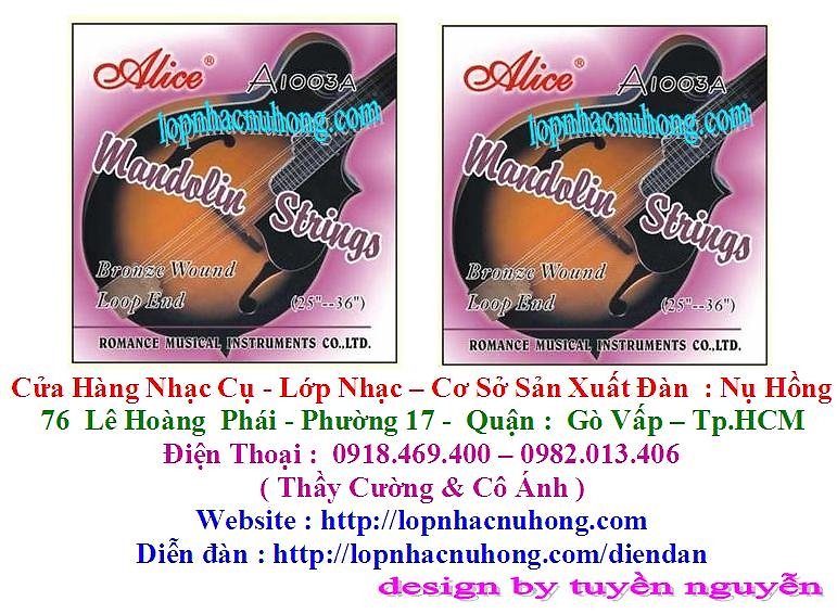 Đàn mandolin chất lượng tốt , nhiều mẫu đẹp giá rẻ - Cửa hàng nhạc cụ Nụ Hồng 974496221_629829332