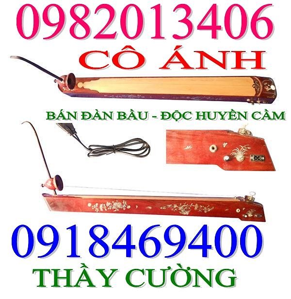 BÁN ĐÀN HẠ UY DI ( HẠ UY CẦM ) HAY ( GUITAR HAWAII ) – 0918469400 – 0982013406  974509623_489592557