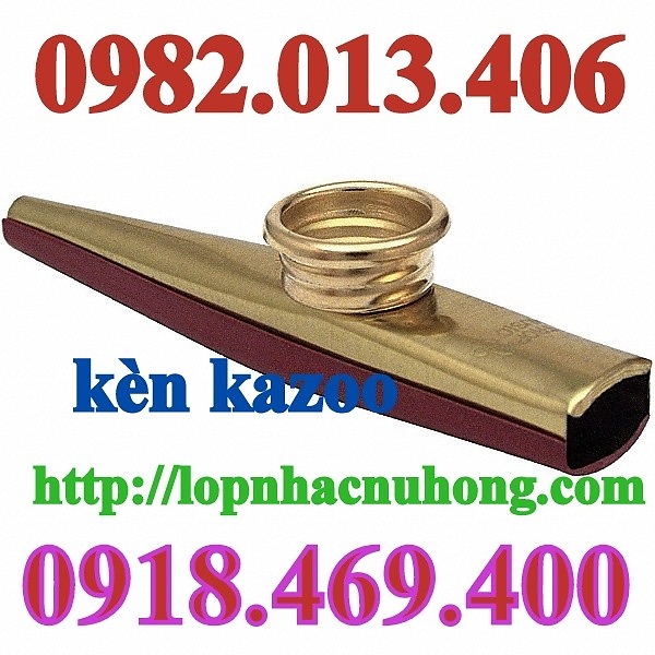 BÁN HOHNER KAZOO – METAL KAZOO  ( KÈN KAZOO ) 995011812_2111318543