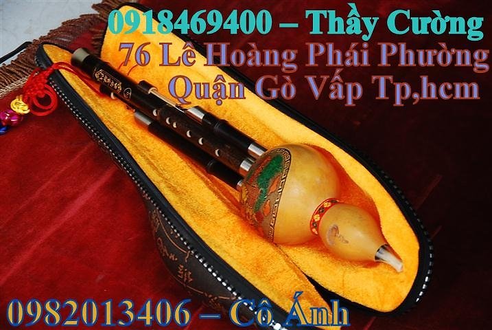 Kèn Kazoo nhiều màu sắc thích hợp mọi lứa tuổi - Cửa hàng nhạc cụ Nụ Hồng 1022892415_1132610417