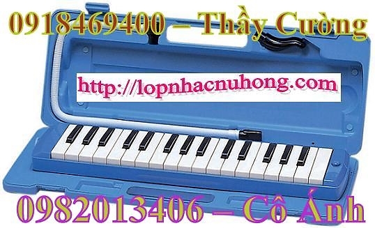 BÁN KÈN PIANICA hay còn gọi là kèn MELODICA , MELODION – 0918.469.400 1024164120_1939417606