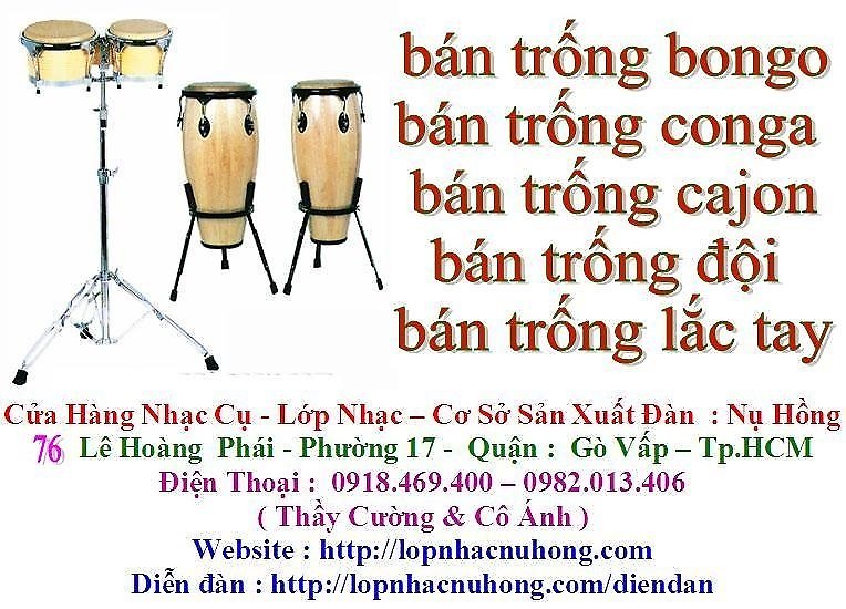 BÁN TRỐNG BONGO 1039028447_497527296