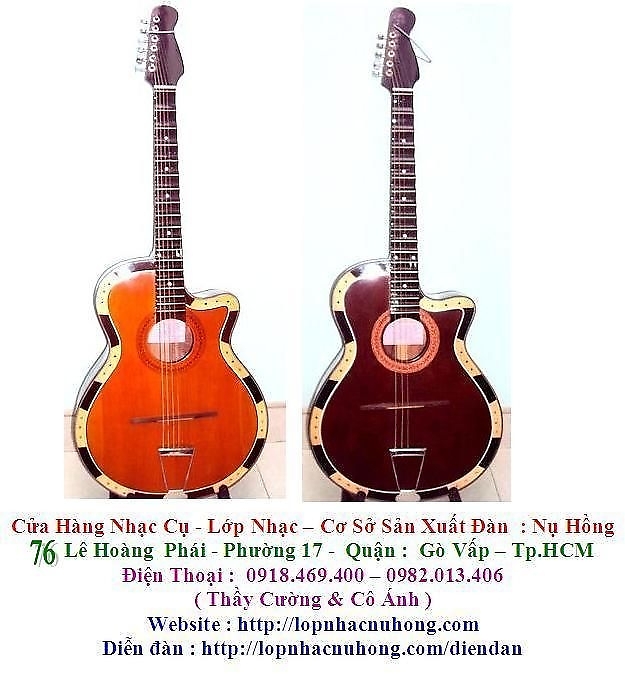 Đàn guitar cổ thùng  - Guitar phím lõm - Cửa hàng Nụ Hồng - 0918 469 400 1048246122_1901435192