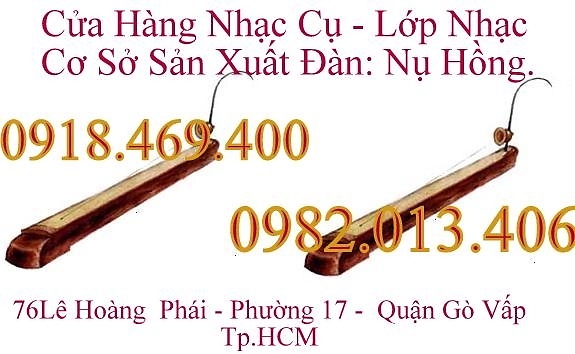 BÁN ĐÀN BẦU ( đàn bầu còn gọi là ĐỘC HUYỀN CẦM ) - Cửa hàng nhạc cụ Nụ Hồng 3000799961_1587013903