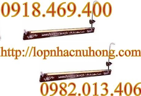 BÁN ĐÀN BẦU ( đàn bầu còn gọi là ĐỘC HUYỀN CẦM ) - Cửa hàng nhạc cụ Nụ Hồng 3000799969_264836631