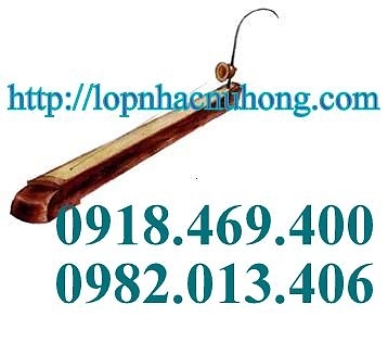 BÁN ĐÀN BẦU ( đàn bầu còn gọi là ĐỘC HUYỀN CẦM ) - Cửa hàng nhạc cụ Nụ Hồng 3000799979_1268554253