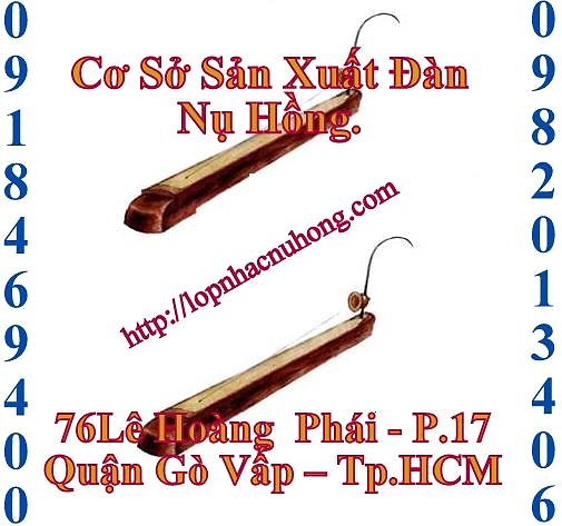 BÁN ĐÀN BẦU ( đàn bầu còn gọi là ĐỘC HUYỀN CẦM ) - Cửa hàng nhạc cụ Nụ Hồng 3000800007_77638074