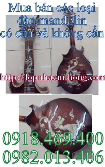 Cơ sở sản xuất đàn Nụ Hồng - Đàn mandolin nhiều kiểu dáng độc đáo , đàn có cẩn và không cẩn - 0918 469 400 3001865249_1374077896