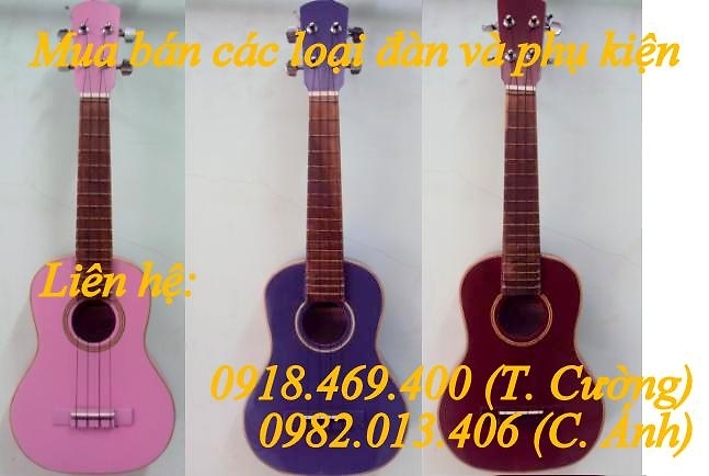 Cơ sở sản xuất đàn Nụ Hồng - Bán đàn ukulele giá rẻ tại gò vấp 3002101108_1779136952