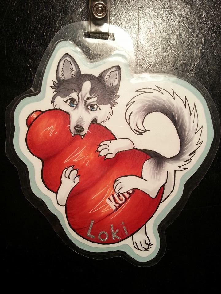 Husky Art! 1382244621.cheshkitten_1384138_10151914234752418_1145217702_n