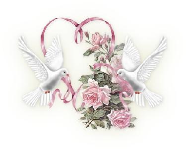 [Images] Vos plus beaux Coeurs - Page 13 Doves-roses