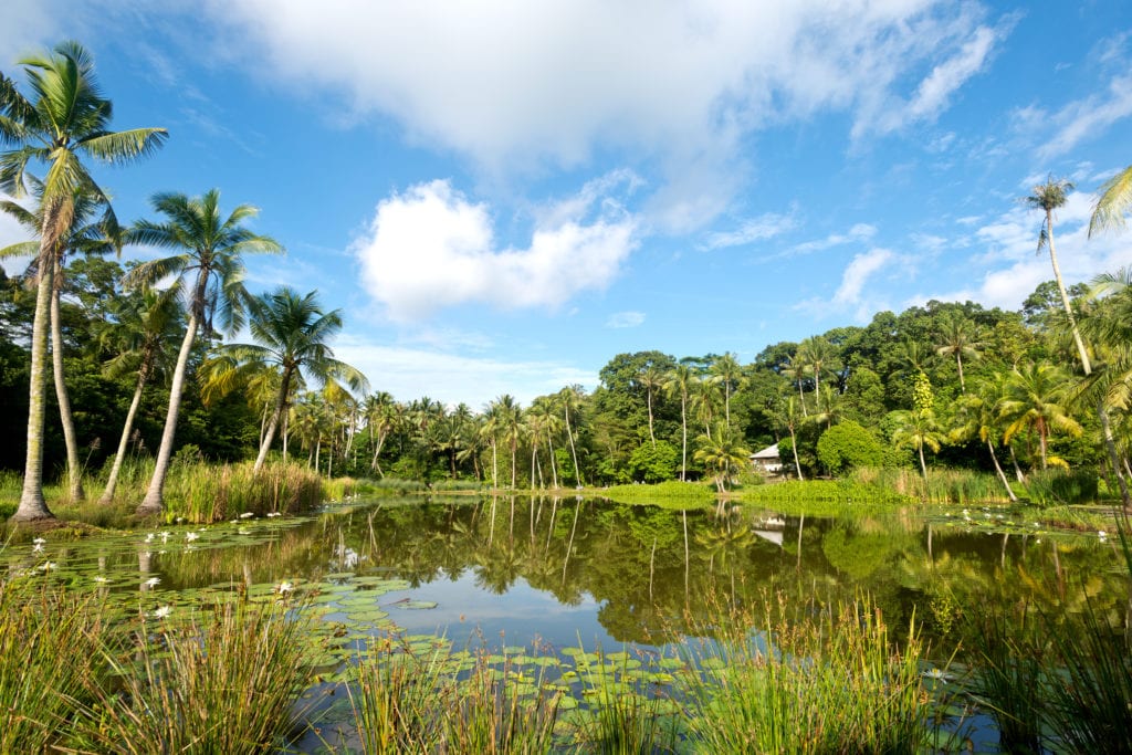 My brother collection!! Pulau-Ubin-1024x683