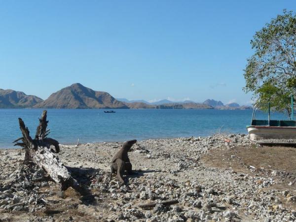 Indonesia’s Komodo National Park Lucu_0