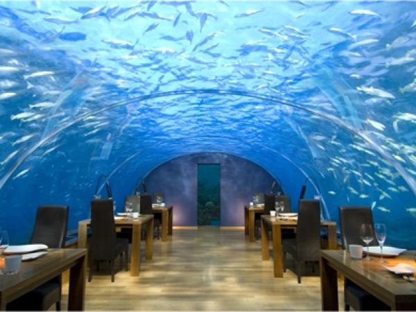 Islands of the Maldives Conrad-Maldives-Ithaa-Underwater-Restaurant2