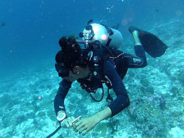 Islands of the Maldives Jambay_guidarhoo_corner_dive