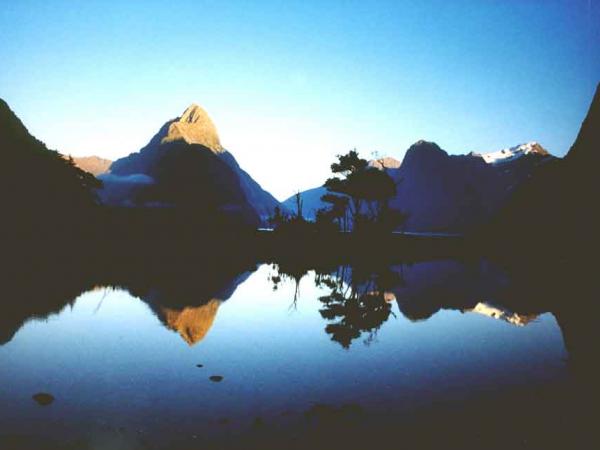 Gallery of Milford Sound 27