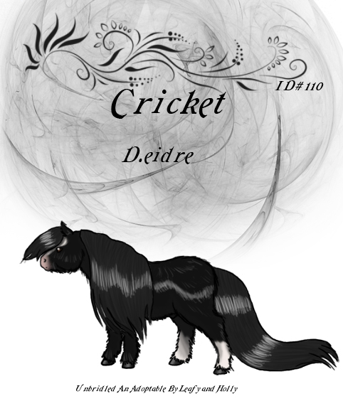 D.eirdre's Nightwalker herd 110Cricket