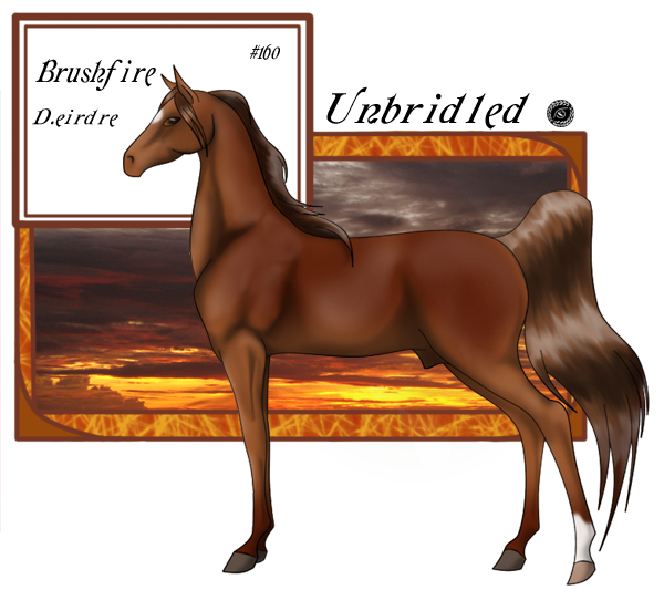 D.eirdre's Nightwalker herd 160Brushfire