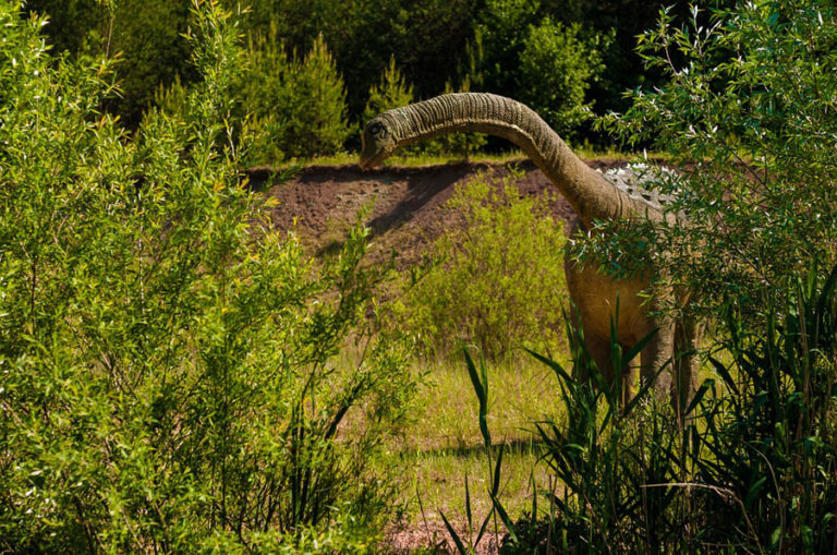 Ces oeufs de dinosaures retrouvés sur un chantier ont plus de 70 millions d’années ! Par Justine Manchuelle                           Oeufs-dinosaure-cretace-768x509