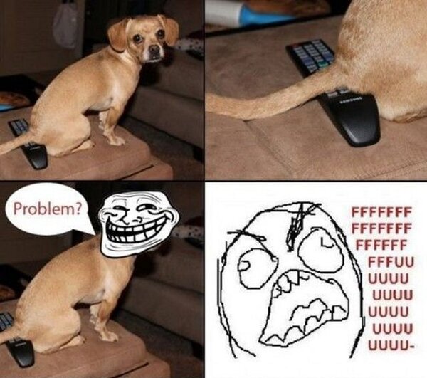 Funny meme pictures POST HERE - Page 3 Puppy-sitting-on-remote-trollface-f7u12-rage-comic