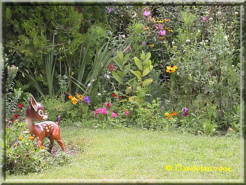 jardin Jardin040829MmeJulien