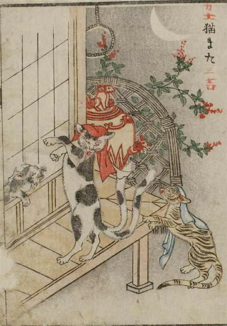 Weird monsters of Japanese folklore  13Nekomata_465_667_int