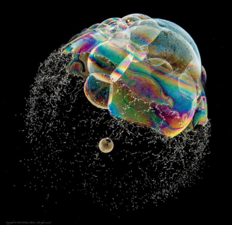 Soap bubbles become psychedelic works of art  BubblefishIIIpqlakjsdlkjasdf_465_451_int