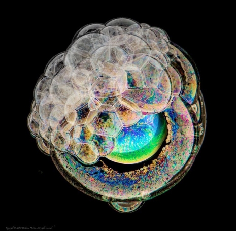 Soap bubbles become psychedelic works of art  Hiddenworldapw0eufaljsdlfjsjpg_465_455_int
