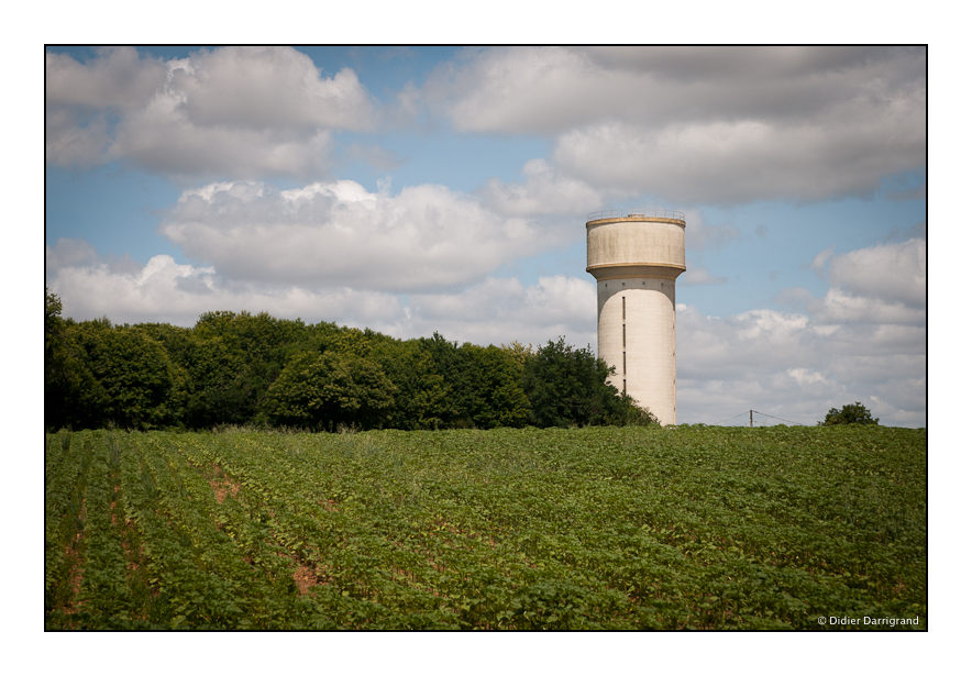 Les photos de Darry - Page 5 152_sauzee_DSC3358