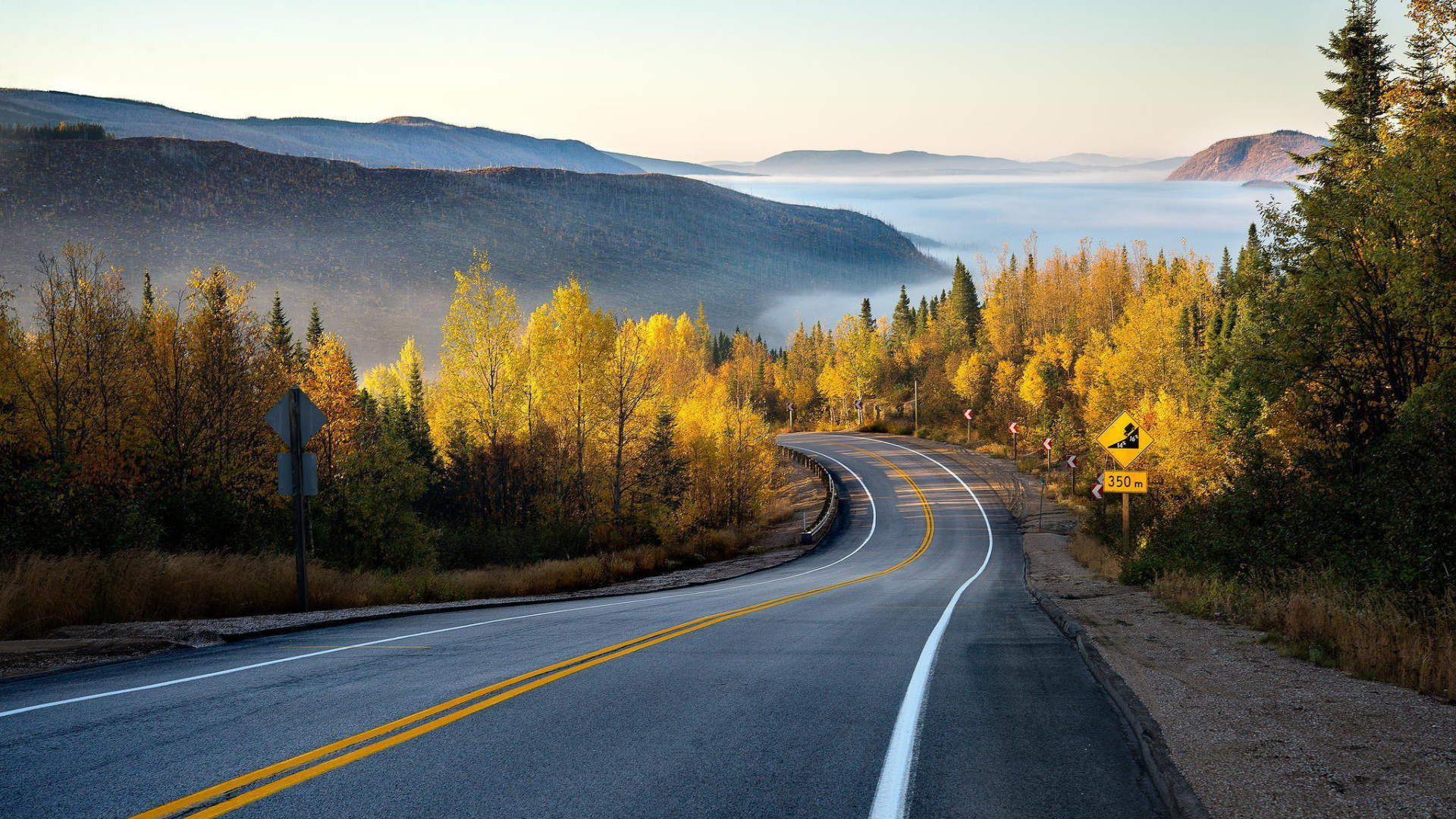 صور تأخذ العقل  - صفحة 5 Nature-forest-road-mountain-mist-autumn-download-1920x1080