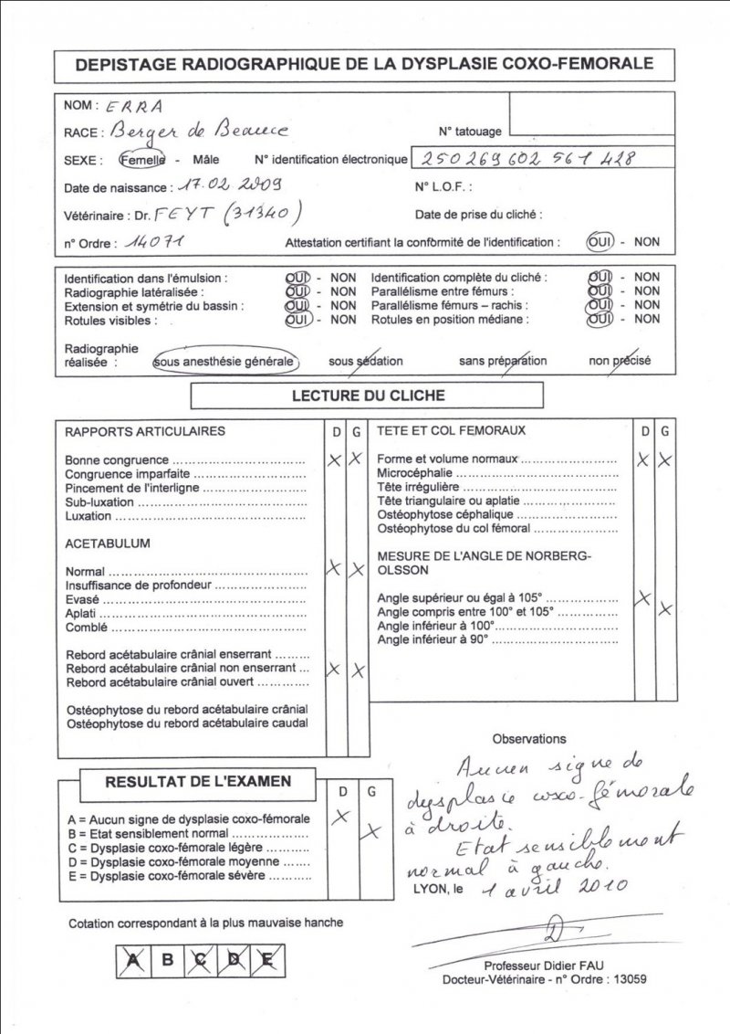 dpistage officiel de la dysplasie - Page 2 113339-xmwm5yka6b