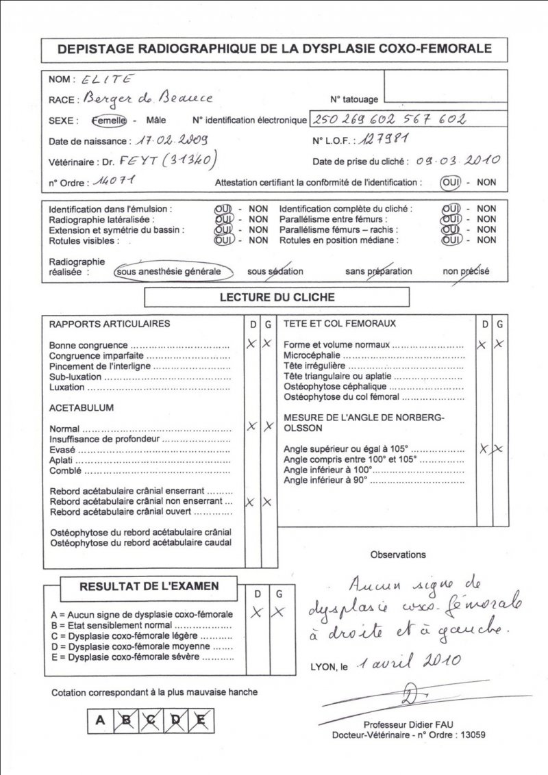 dpistage officiel de la dysplasie - Page 2 113340-eci6c6sban