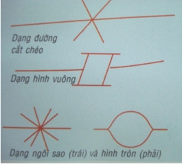 Cách xem chỉ tay trong lòng bàn tay Chi-tay-3(1)