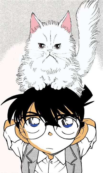 Picture Shinichi / Conan - Page 3 KenhSinhVien-545084-10151180153283852-144358541-n