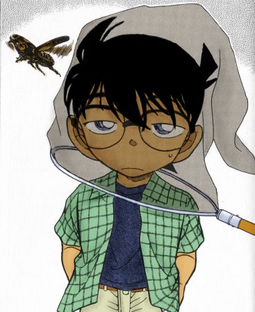 Picture Shinichi / Conan - Page 3 KenhSinhVien-525156-322026677876192-233414259-n