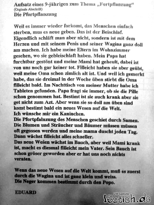 Dummheiten 17559-aufsatz-eines-schuelers