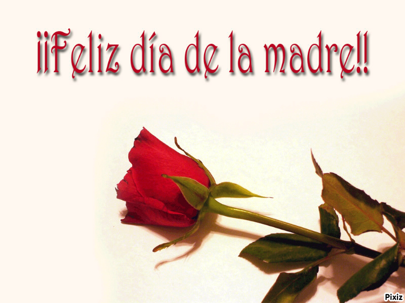 <<<<Feliz dia de la madre>>>> 423688_56a34