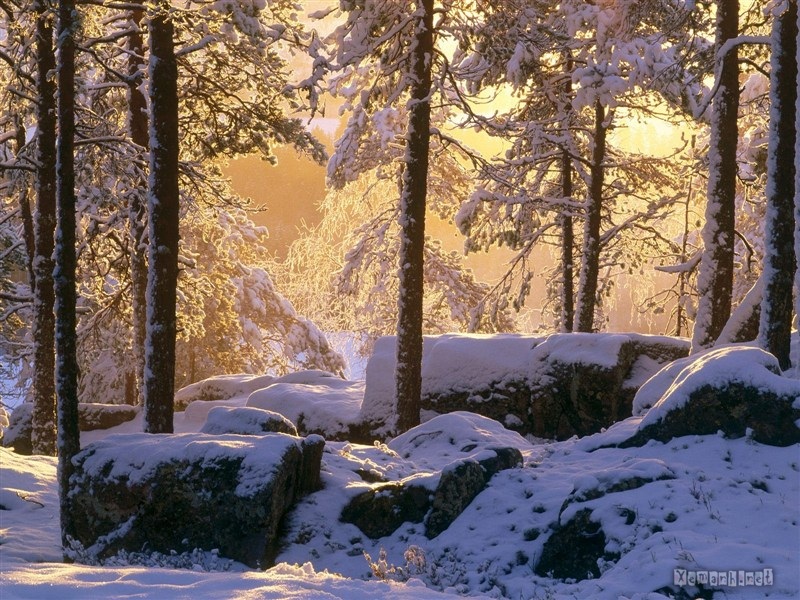 Ảnh đẹp mùa đông I SinhVienIT.Net---winter-11