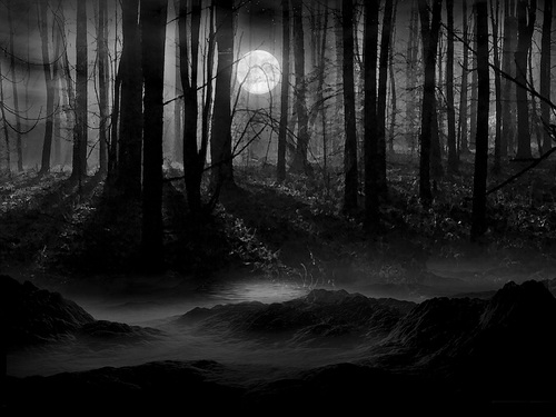 Навътре в гората Dark.Forest_large