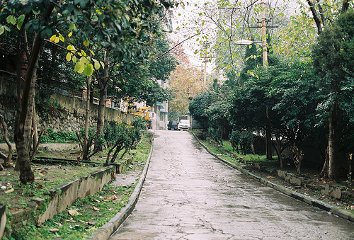 Parque de los Jesuitas Tumblr_m1sqfqaPZC1r3ly5bo1_500_large