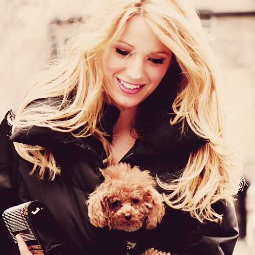 Danielle Draimon Blake-lively-blondie-cute-dog-gossip-girl-Favim.com-457213_large