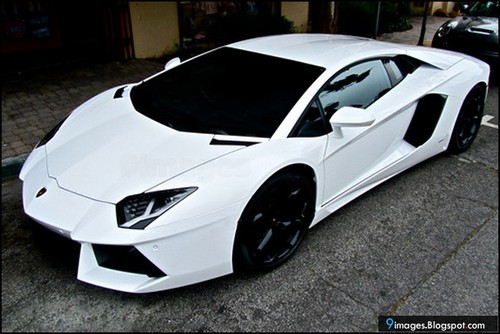 صور سيآرآت تووحفة Lambo-gallardo-white-car-lovely_large