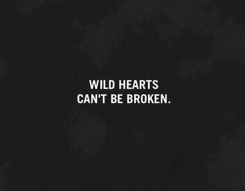 Wild hearts can't be tamed.  - Page 2 378172_343959479025054_1504651130_n_large