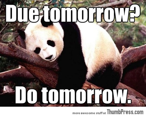 Post Funny Stuff - Page 2 Procrastination-Panda_large